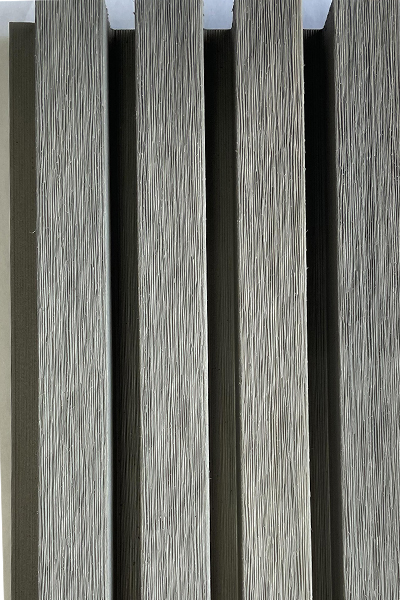 ǽ-1